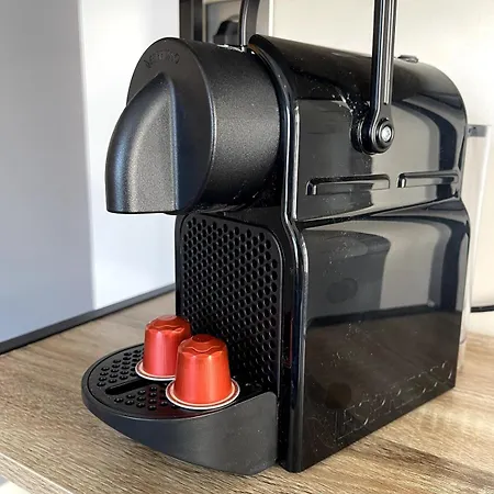 Duplex Cosy A Carnot * Le Puy-en-Velay