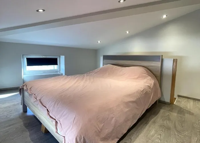 Duplex Cosy A Carnot Le Puy-en-Velay