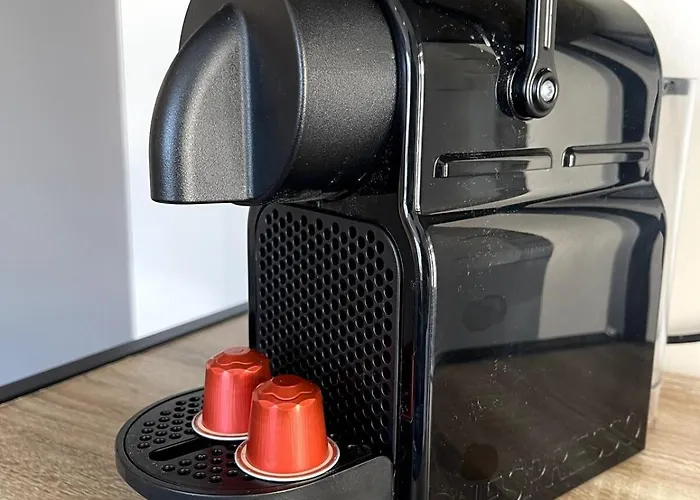 Duplex Cosy A Carnot * Le Puy-en-Velay