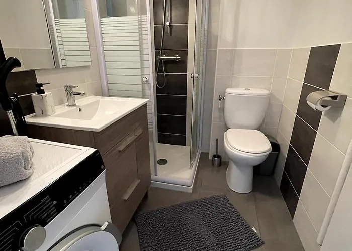 Duplex Cosy A Carnot Le Puy-en-Velay