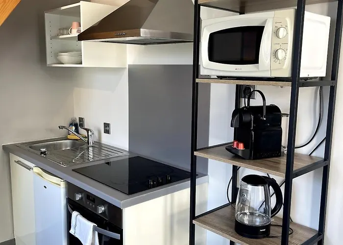 דירה Duplex Cosy A Carnot Le Puy-en-Velay